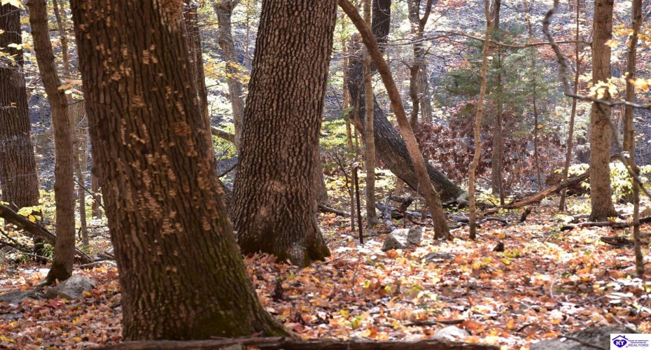 Battle Training Road, Elizabethtown, Kentucky 42701, ,1 BathroomBathrooms,For Sale,Battle Training Road,HK24004103