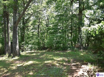 Battle Training Road, Elizabethtown, Kentucky 42701, ,1 BathroomBathrooms,For Sale,Battle Training Road,HK24004103 Battle Training Road, Elizabethtown, Kentucky 42701, ,1 BathroomBathrooms,For Sale,Battle Training Road,HK24004103