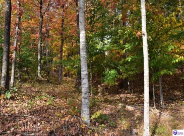 Battle Training Road, Elizabethtown, Kentucky 42701, ,1 BathroomBathrooms,For Sale,Battle Training Road,HK24004103 Battle Training Road, Elizabethtown, Kentucky 42701, ,1 BathroomBathrooms,For Sale,Battle Training Road,HK24004103