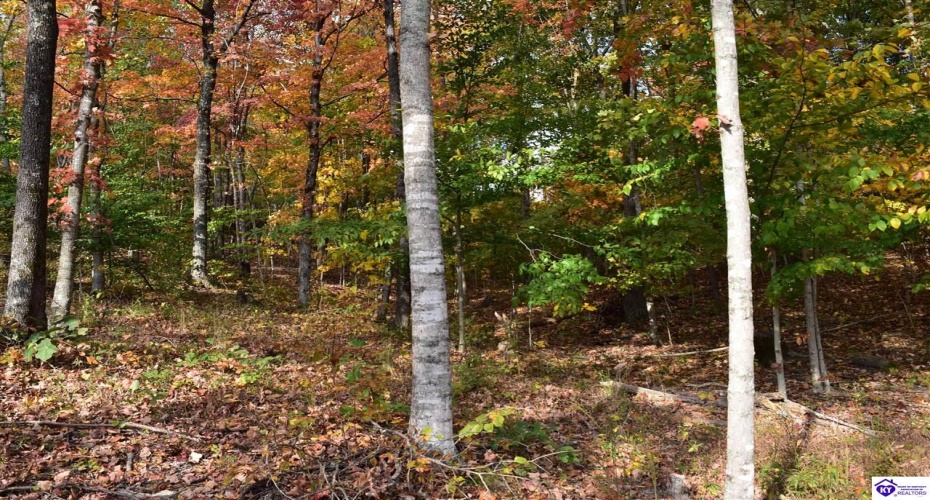 Battle Training Road, Elizabethtown, Kentucky 42701, ,1 BathroomBathrooms,For Sale,Battle Training Road,HK24004103