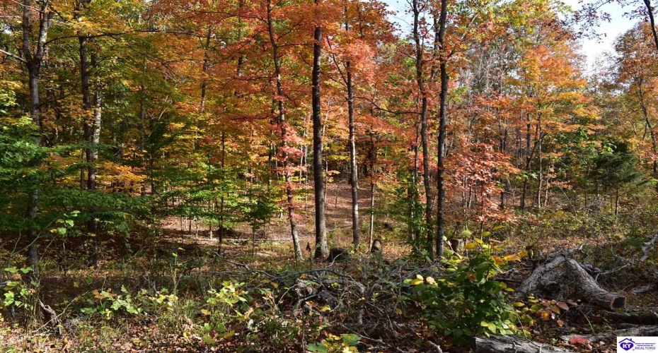 Battle Training Road, Elizabethtown, Kentucky 42701, ,1 BathroomBathrooms,For Sale,Battle Training Road,HK24004103