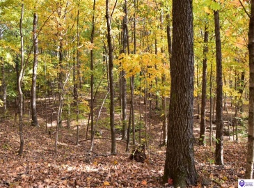 Battle Training Road, Elizabethtown, Kentucky 42701, ,1 BathroomBathrooms,For Sale,Battle Training Road,HK24004103 Battle Training Road, Elizabethtown, Kentucky 42701, ,1 BathroomBathrooms,For Sale,Battle Training Road,HK24004103