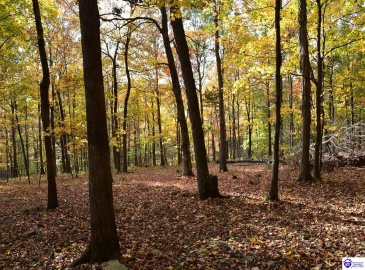 Battle Training Road, Elizabethtown, Kentucky 42701, ,1 BathroomBathrooms,For Sale,Battle Training Road,HK24004103 Battle Training Road, Elizabethtown, Kentucky 42701, ,1 BathroomBathrooms,For Sale,Battle Training Road,HK24004103