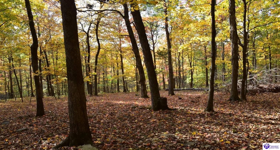 Battle Training Road, Elizabethtown, Kentucky 42701, ,1 BathroomBathrooms,For Sale,Battle Training Road,HK24004103