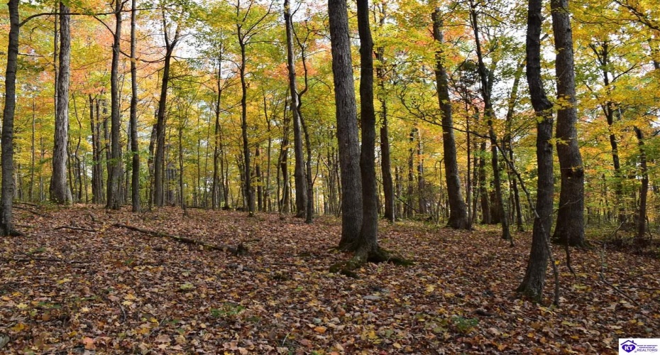 Battle Training Road, Elizabethtown, Kentucky 42701, ,1 BathroomBathrooms,For Sale,Battle Training Road,HK24004103