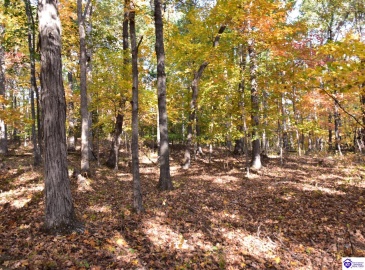 Battle Training Road, Elizabethtown, Kentucky 42701, ,1 BathroomBathrooms,For Sale,Battle Training Road,HK24004103 Battle Training Road, Elizabethtown, Kentucky 42701, ,1 BathroomBathrooms,For Sale,Battle Training Road,HK24004103