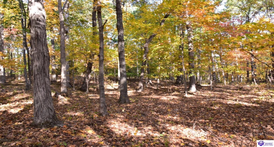 Battle Training Road, Elizabethtown, Kentucky 42701, ,1 BathroomBathrooms,For Sale,Battle Training Road,HK24004103