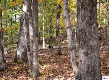 Battle Training Road, Elizabethtown, Kentucky 42701, ,1 BathroomBathrooms,For Sale,Battle Training Road,HK24004103 Battle Training Road, Elizabethtown, Kentucky 42701, ,1 BathroomBathrooms,For Sale,Battle Training Road,HK24004103