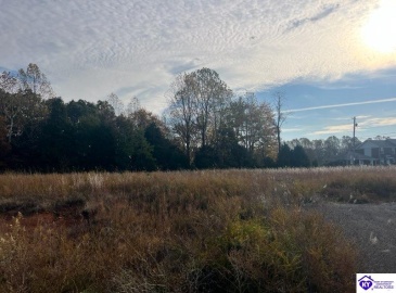 Logsdon Parkway, Radcliff, Kentucky 40160, ,For Sale,Logsdon Parkway,HK24004131