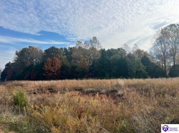 Logsdon Parkway, Radcliff, Kentucky 40160, ,For Sale,Logsdon Parkway,HK24004131