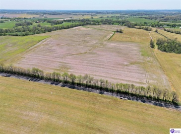 Leitchfield Road, Cecilia, Kentucky 42724, ,For Sale,Leitchfield Road,HK24004141