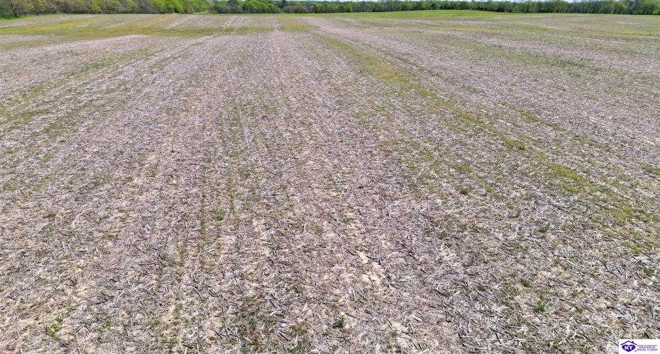 Leitchfield Road, Cecilia, Kentucky 42724, ,For Sale,Leitchfield Road,HK24004141 Leitchfield Road, Cecilia, Kentucky 42724, ,For Sale,Leitchfield Road,HK24004141