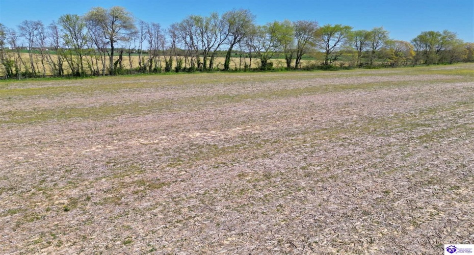 Leitchfield Road, Cecilia, Kentucky 42724, ,For Sale,Leitchfield Road,HK24004141 Leitchfield Road, Cecilia, Kentucky 42724, ,For Sale,Leitchfield Road,HK24004141