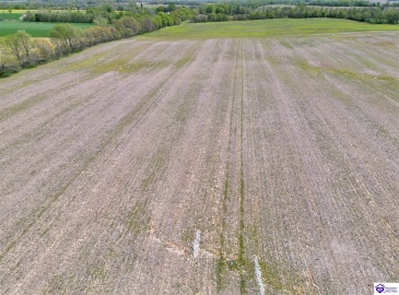 Leitchfield Road, Cecilia, Kentucky 42724, ,For Sale,Leitchfield Road,HK24004141