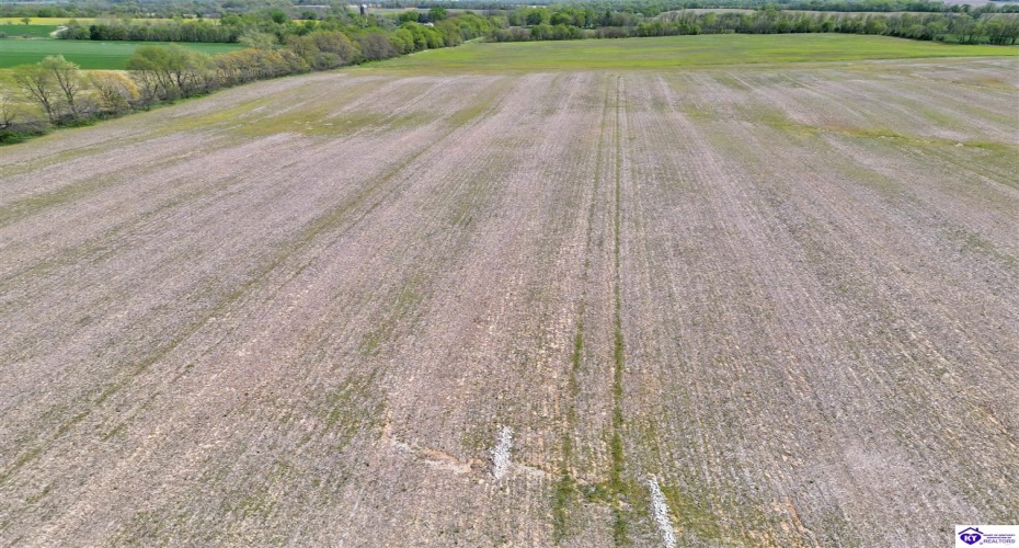 Leitchfield Road, Cecilia, Kentucky 42724, ,For Sale,Leitchfield Road,HK24004141 Leitchfield Road, Cecilia, Kentucky 42724, ,For Sale,Leitchfield Road,HK24004141