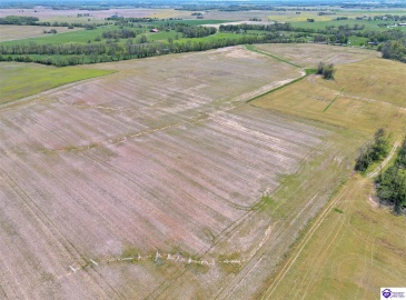 Leitchfield Road, Cecilia, Kentucky 42724, ,For Sale,Leitchfield Road,HK24004141