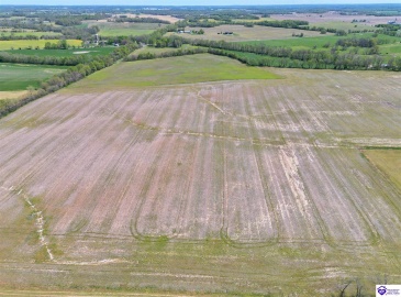 Leitchfield Road, Cecilia, Kentucky 42724, ,For Sale,Leitchfield Road,HK24004141