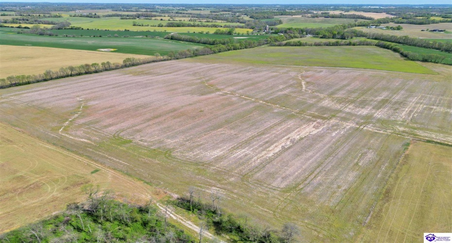 Leitchfield Road, Cecilia, Kentucky 42724, ,For Sale,Leitchfield Road,HK24004141 Leitchfield Road, Cecilia, Kentucky 42724, ,For Sale,Leitchfield Road,HK24004141