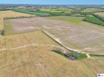 Leitchfield Road, Cecilia, Kentucky 42724, ,For Sale,Leitchfield Road,HK24004141