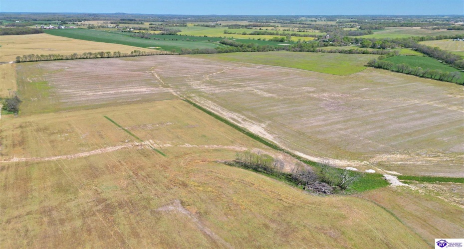 Leitchfield Road, Cecilia, Kentucky 42724, ,For Sale,Leitchfield Road,HK24004141 Leitchfield Road, Cecilia, Kentucky 42724, ,For Sale,Leitchfield Road,HK24004141