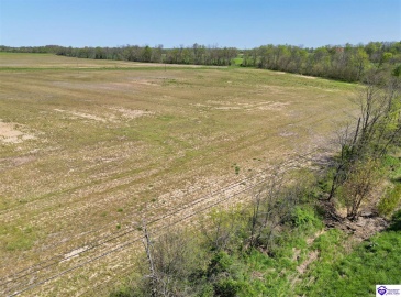 Leitchfield Road, Cecilia, Kentucky 42724, ,For Sale,Leitchfield Road,HK24004141