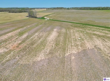 Leitchfield Road, Cecilia, Kentucky 42724, ,For Sale,Leitchfield Road,HK24004141