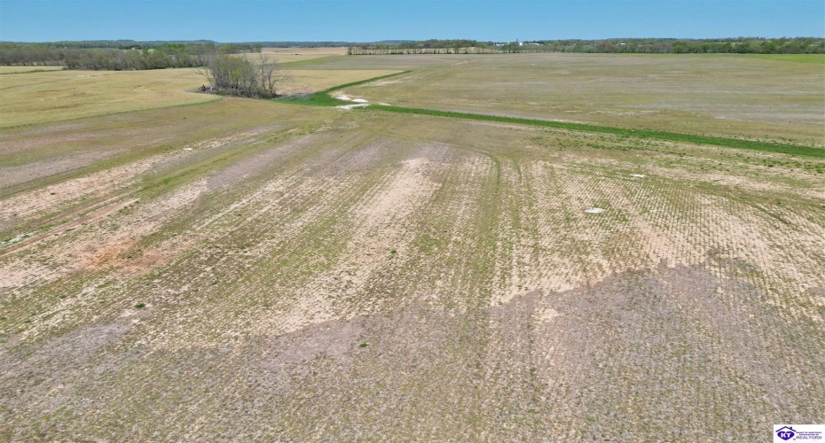 Leitchfield Road, Cecilia, Kentucky 42724, ,For Sale,Leitchfield Road,HK24004141 Leitchfield Road, Cecilia, Kentucky 42724, ,For Sale,Leitchfield Road,HK24004141