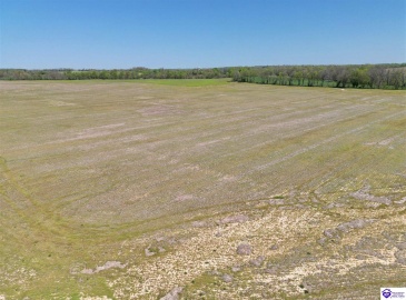 Leitchfield Road, Cecilia, Kentucky 42724, ,For Sale,Leitchfield Road,HK24004141