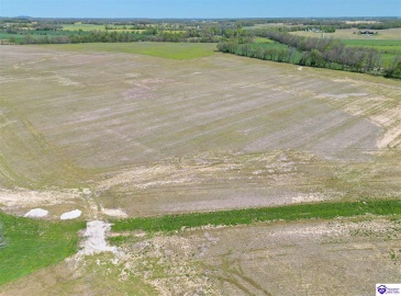 Leitchfield Road, Cecilia, Kentucky 42724, ,For Sale,Leitchfield Road,HK24004141