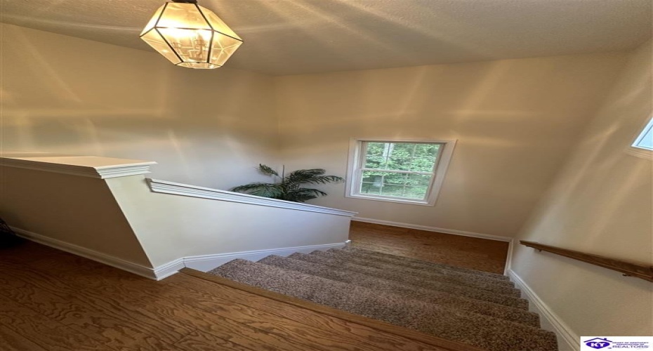 Red Wing Road, Brandenburg, Kentucky 40108, ,3 BathroomsBathrooms,For Sale,Red Wing Road,HK24003279