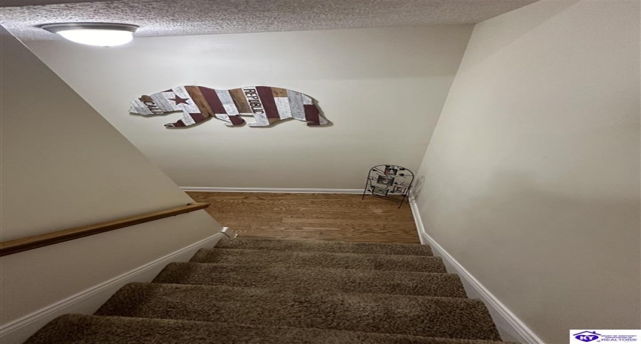 Red Wing Road, Brandenburg, Kentucky 40108, ,3 BathroomsBathrooms,For Sale,Red Wing Road,HK24003279