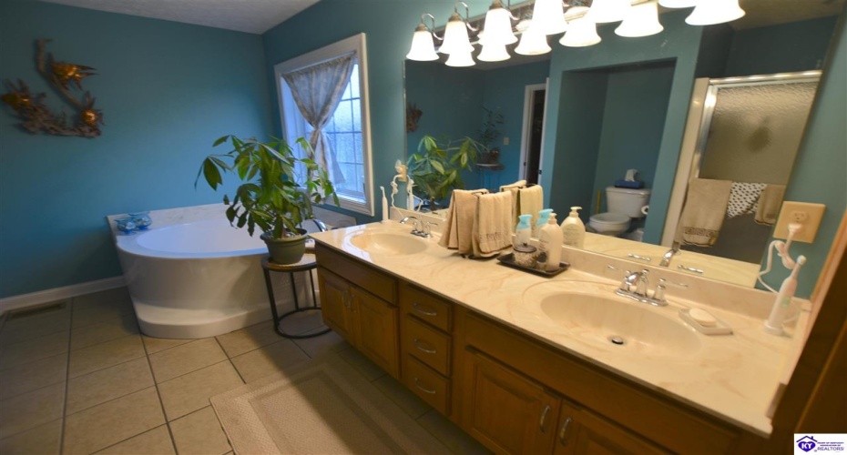 Graceland Trail, Elizabethtown, Kentucky 42701, ,4 BathroomsBathrooms,For Sale,Graceland Trail,HK24004174