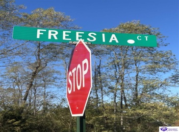 Freesia Court, Brandenburg, Kentucky 40108, ,For Sale,Freesia Court,HK24004106