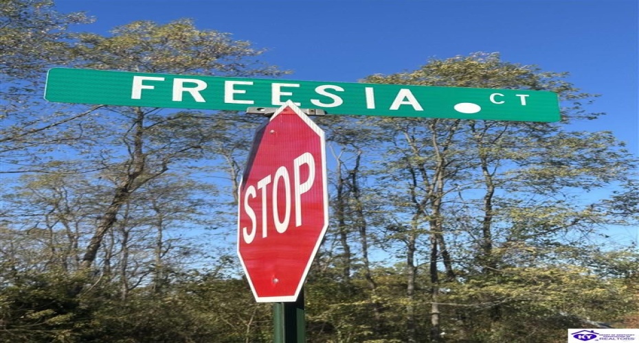 Freesia Court, Brandenburg, Kentucky 40108, ,For Sale,Freesia Court,HK24004106