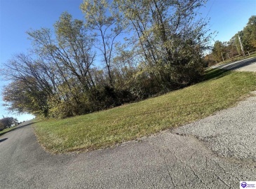 Freesia Court, Brandenburg, Kentucky 40108, ,For Sale,Freesia Court,HK24004106