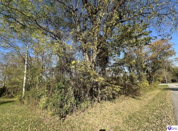 Freesia Court, Brandenburg, Kentucky 40108, ,For Sale,Freesia Court,HK24004106