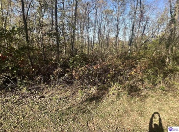 Freesia Court, Brandenburg, Kentucky 40108, ,For Sale,Freesia Court,HK24004106