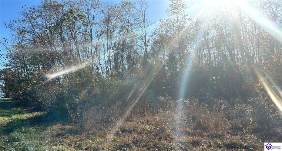 Freesia Court, Brandenburg, Kentucky 40108, ,For Sale,Freesia Court,HK24004106