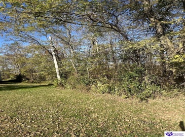 Freesia Court, Brandenburg, Kentucky 40108, ,For Sale,Freesia Court,HK24004106