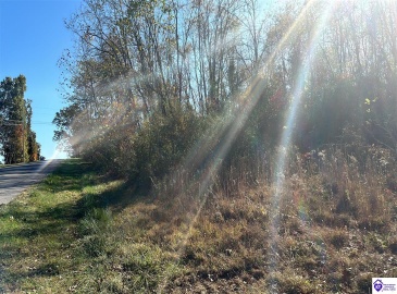 Freesia Court, Brandenburg, Kentucky 40108, ,For Sale,Freesia Court,HK24004106