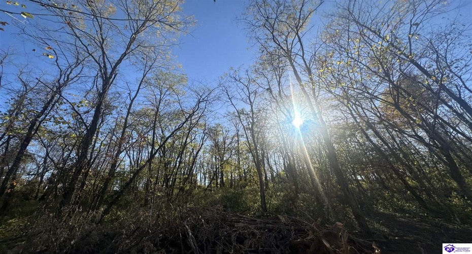 Freesia Court, Brandenburg, Kentucky 40108, ,For Sale,Freesia Court,HK24004106