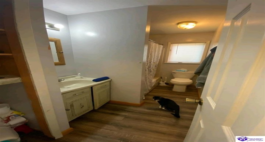 Mount Moriah Road, Boston, Kentucky 40107-0000, ,3 BathroomsBathrooms,For Sale,Mount Moriah Road,HK24004188