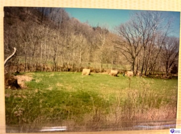 Oval Petty Road, Columbia, Kentucky 42728, ,For Sale,Oval Petty Road,HK23003372