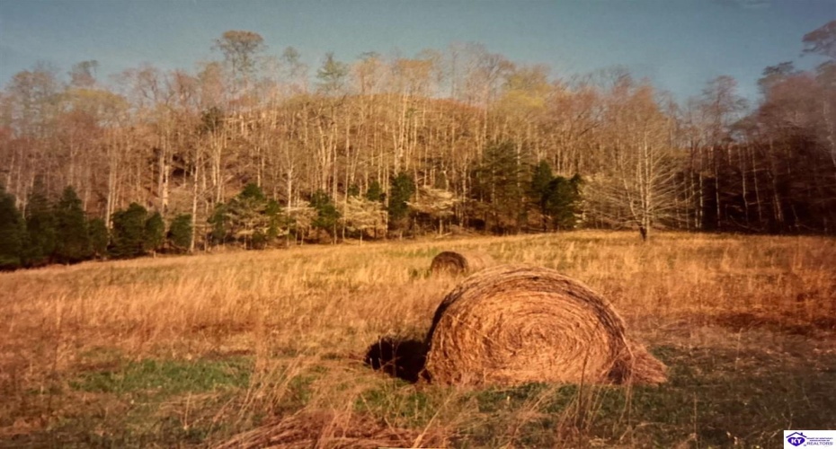 Oval Petty Road, Columbia, Kentucky 42728, ,For Sale,Oval Petty Road,HK23003372