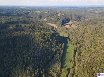 Oval Petty Road, Columbia, Kentucky 42728, ,For Sale,Oval Petty Road,HK23003372