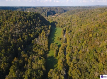 Oval Petty Road, Columbia, Kentucky 42728, ,For Sale,Oval Petty Road,HK23003372