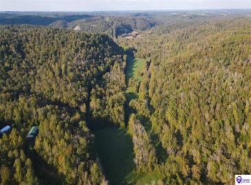 Oval Petty Road, Columbia, Kentucky 42728, ,For Sale,Oval Petty Road,HK23003372