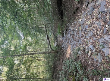 Settlers Point Road, Fountain Run, Kentucky 42133, ,For Sale,Settlers Point Road,HK24004196