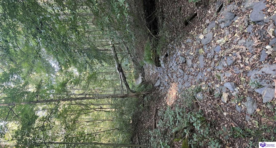 Settlers Point Road, Fountain Run, Kentucky 42133, ,For Sale,Settlers Point Road,HK24004196