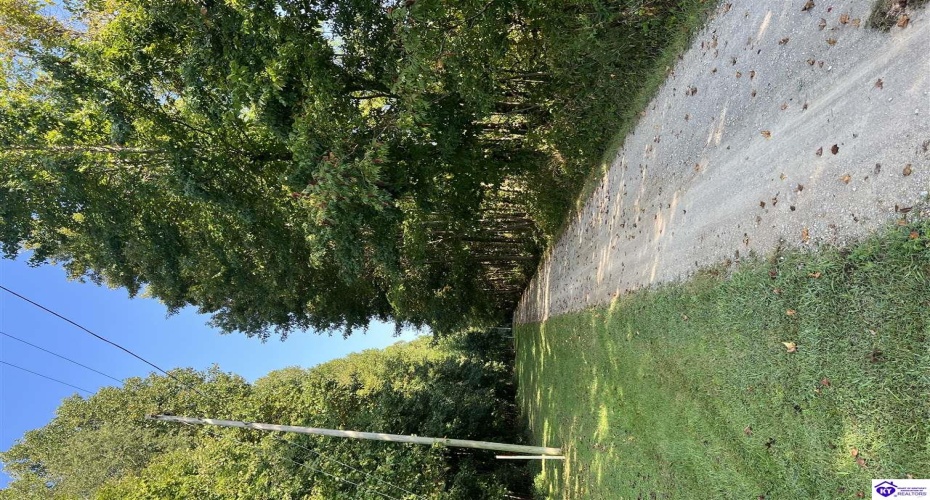 Settlers Point Road, Fountain Run, Kentucky 42133, ,For Sale,Settlers Point Road,HK24004196